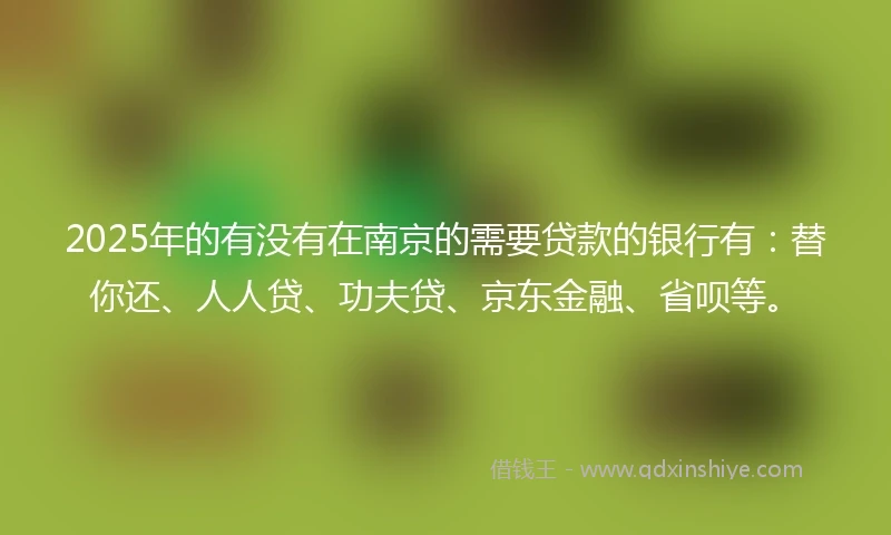 2025年的有没有在南京的需要贷款的银行有：替你还、人人贷、功夫贷、京东金融、省呗等。