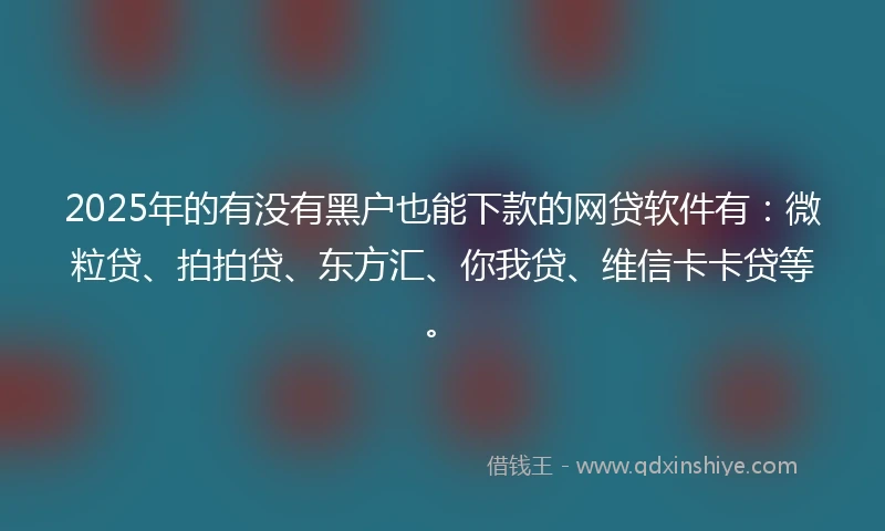 2025年的有没有黑户也能下款的网贷软件有：微粒贷、拍拍贷、东方汇、你我贷、维信卡卡贷等。