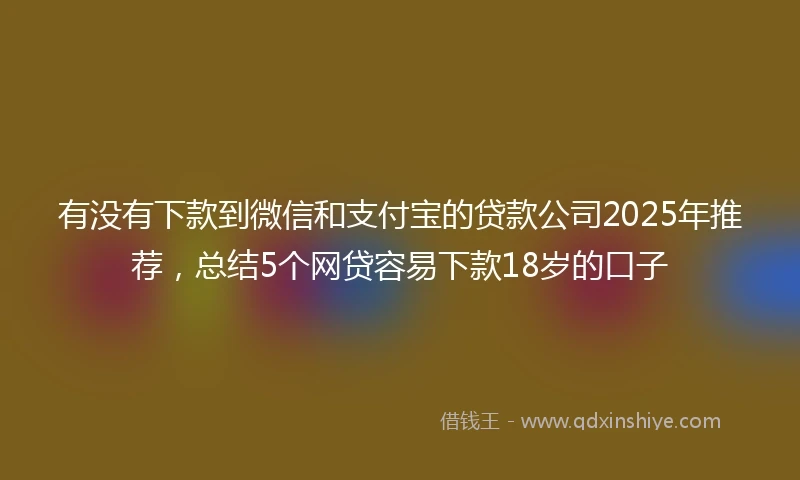 有没有下款到微信和支付宝的贷款公司2025年推荐，总结5个网贷容易下款18岁的口子