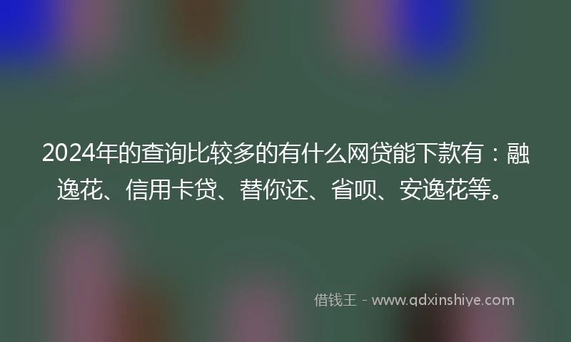 2024年的查询比较多的有什么网贷能下款有：融逸花、信用卡贷、替你还、省呗、安逸花等。