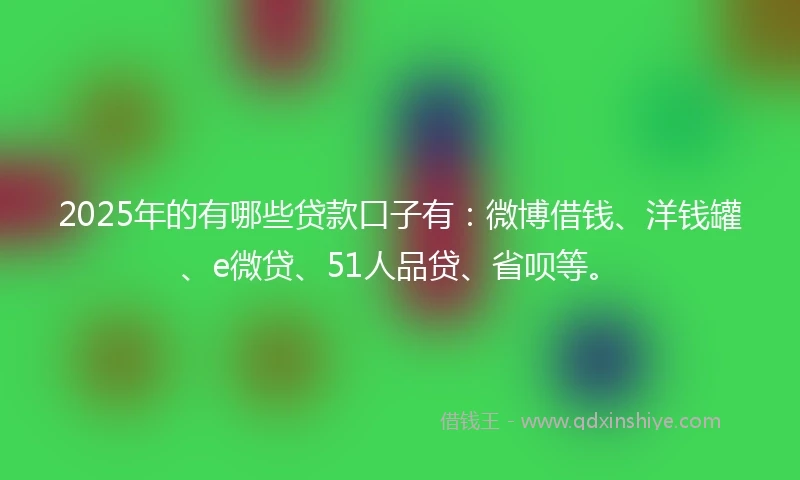 2025年的有哪些贷款口子有：微博借钱、洋钱罐、e微贷、51人品贷、省呗等。
