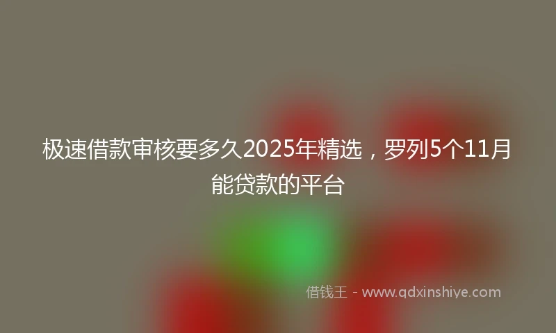 极速借款审核要多久2025年精选，罗列5个11月能贷款的平台