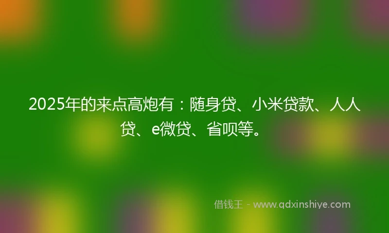 2025年的来点高炮有：随身贷、小米贷款、人人贷、e微贷、省呗等。
