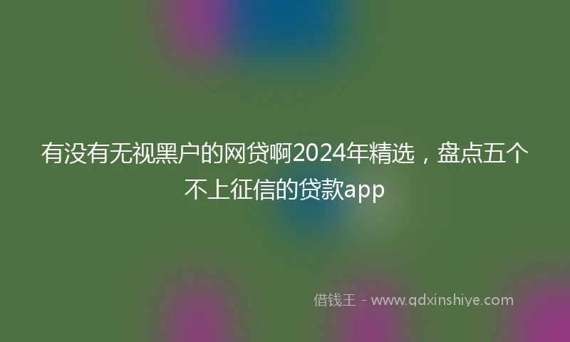 有没有无视黑户的网贷啊2024年精选，盘点五个不上征信的贷款app