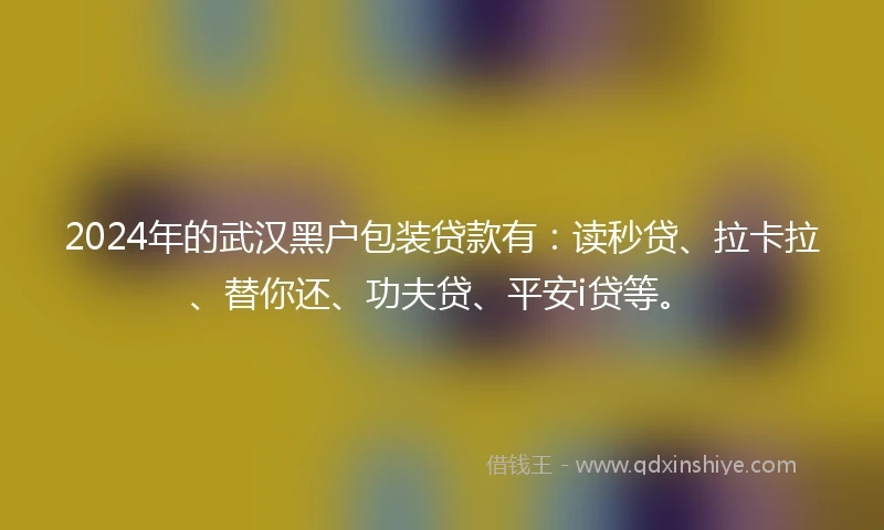 2024年的武汉黑户包装贷款有：读秒贷、拉卡拉、替你还、功夫贷、平安i贷等。
