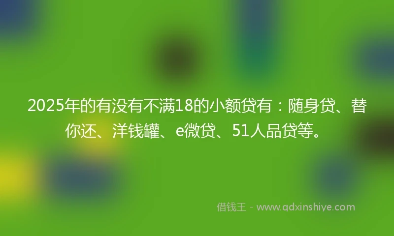 2025年的有没有不满18的小额贷有：随身贷、替你还、洋钱罐、e微贷、51人品贷等。