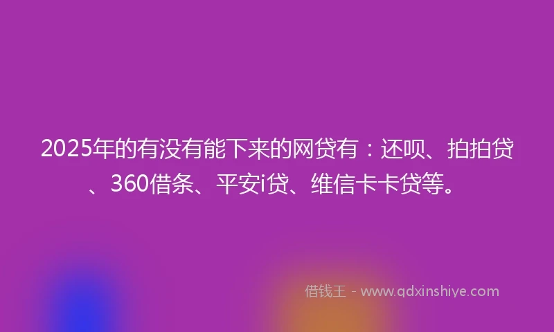 2025年的有没有能下来的网贷有：还呗、拍拍贷、360借条、平安i贷、维信卡卡贷等。