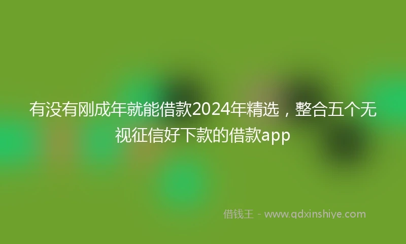 有没有刚成年就能借款2024年精选，整合五个无视征信好下款的借款app