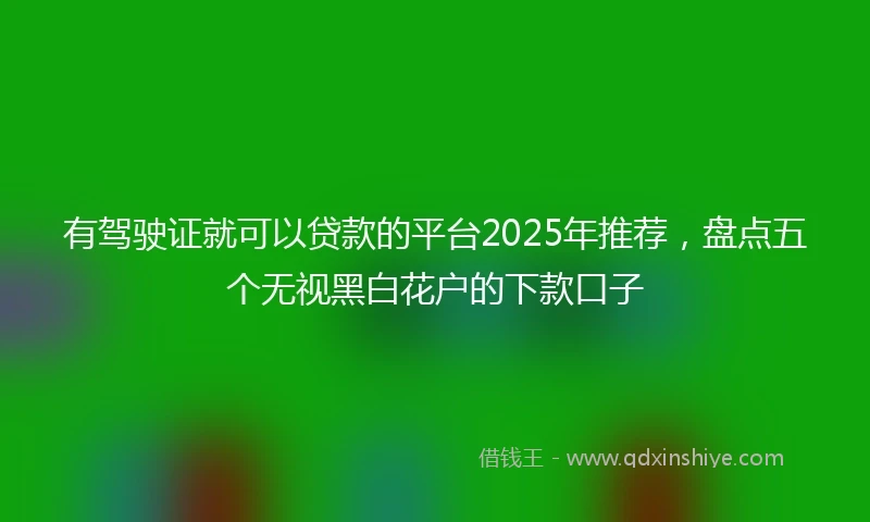 有驾驶证就可以贷款的平台2025年推荐，盘点五个无视黑白花户的下款口子