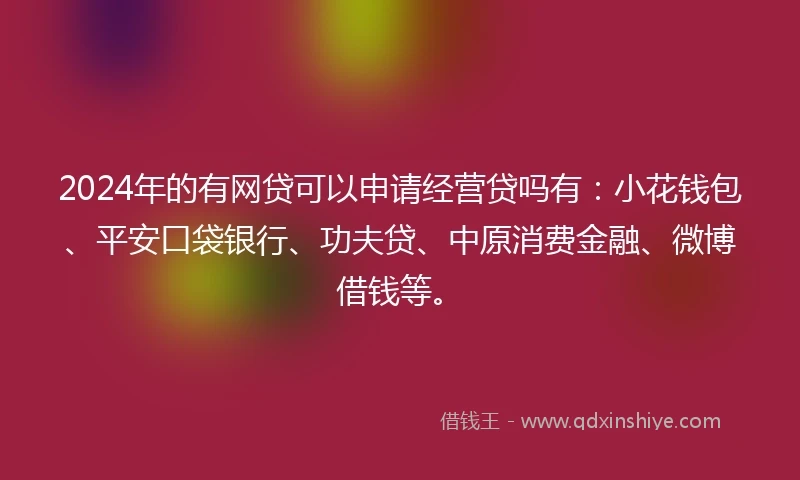 2024年的有网贷可以申请经营贷吗有：小花钱包、平安口袋银行、功夫贷、中原消费金融、微博借钱等。