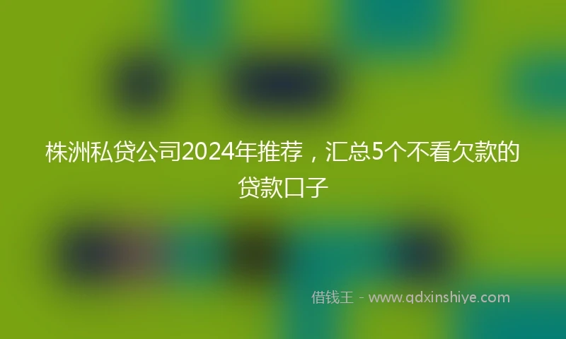 株洲私贷公司2024年推荐，汇总5个不看欠款的贷款口子