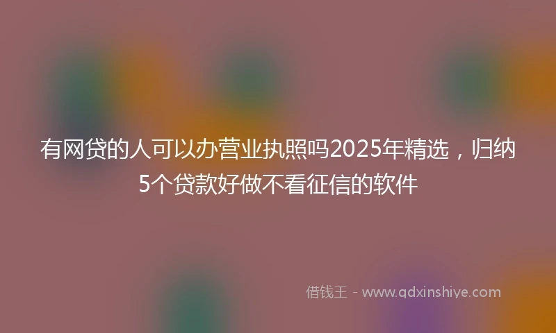 有网贷的人可以办营业执照吗2025年精选，归纳5个贷款好做不看征信的软件