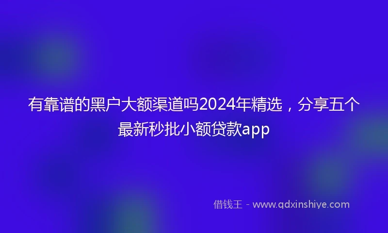 有靠谱的黑户大额渠道吗2024年精选，分享五个最新秒批小额贷款app