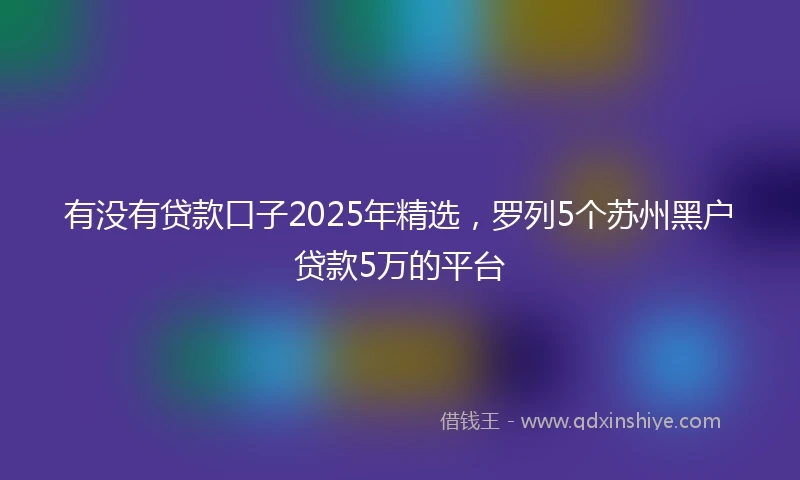 有没有贷款口子2025年精选，罗列5个苏州黑户贷款5万的平台