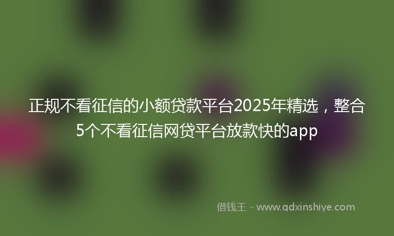 正规不看征信的小额贷款平台2025年精选，整合5个不看征信网贷平台放款快的app