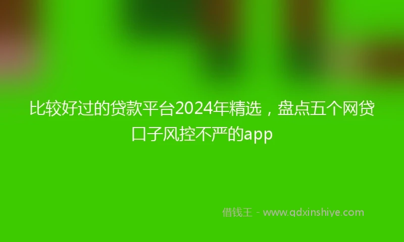 比较好过的贷款平台2024年精选,盘点五个网贷口子风控不严的app