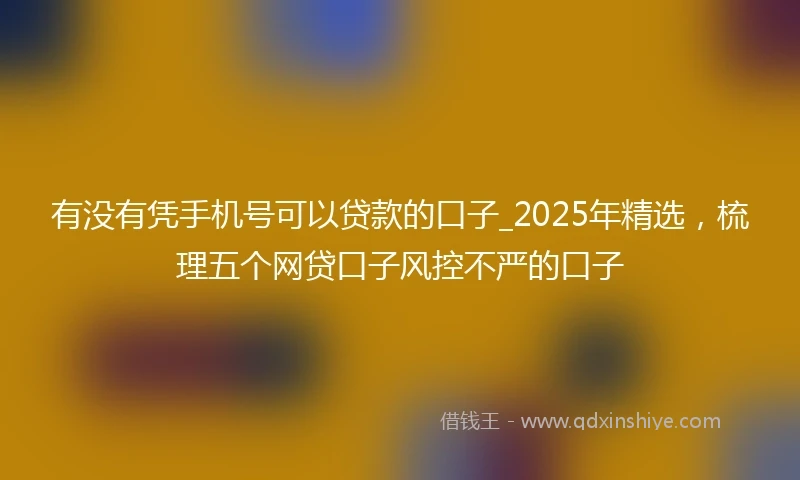 有没有凭手机号可以贷款的口子_2025年精选，梳理五个网贷口子风控不严的口子