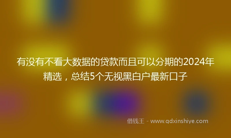 有没有不看大数据的贷款而且可以分期的2024年精选，总结5个无视黑白户最新口子