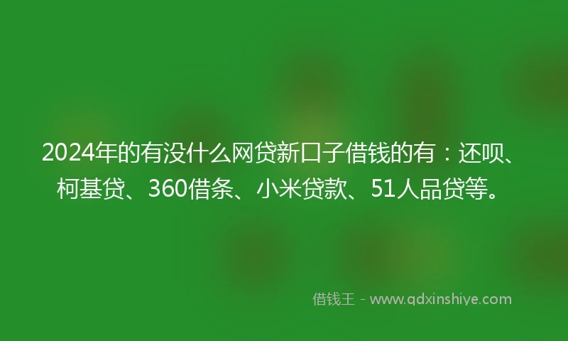 2024年的有没什么网贷新口子借钱的有：还呗、柯基贷、360借条、小米贷款、51人品贷等。