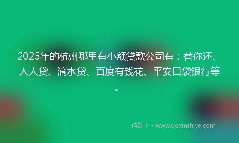 2025年的杭州哪里有小额贷款公司有：替你还、人人贷、滴水贷、百度有钱花、平安口袋银行等。