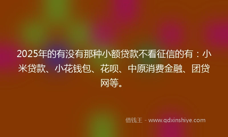 2025年的有没有那种小额贷款不看征信的有：小米贷款、小花钱包、花呗、中原消费金融、团贷网等。