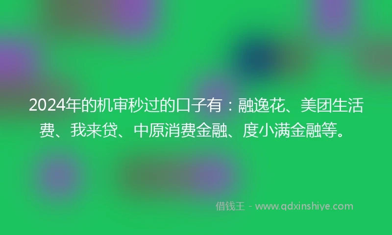 2024年的机审秒过的口子有：融逸花、美团生活费、我来贷、中原消费金融、度小满金融等。