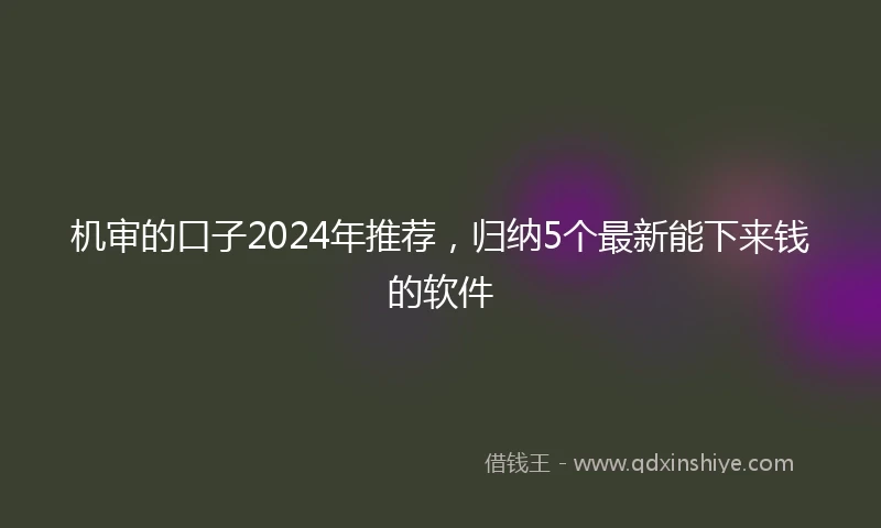 机审的口子2024年推荐，归纳5个最新能下来钱的软件