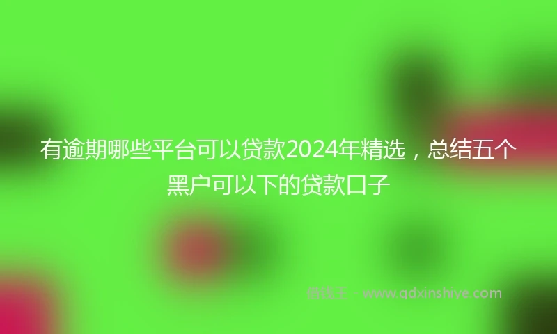 有逾期哪些平台可以贷款2024年精选，总结五个黑户可以下的贷款口子