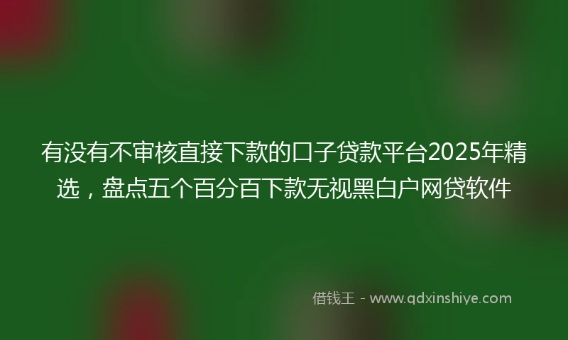 有没有不审核直接下款的口子贷款平台2025年精选，盘点五个百分百下款无视黑白户网贷软件