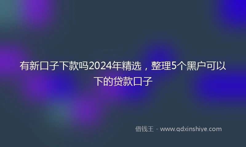 有新口子下款吗2024年精选，整理5个黑户可以下的贷款口子