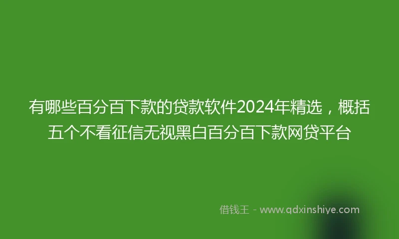 有哪些百分百下款的贷款软件2024年精选，概括五个不看征信无视黑白百分百下款网贷平台