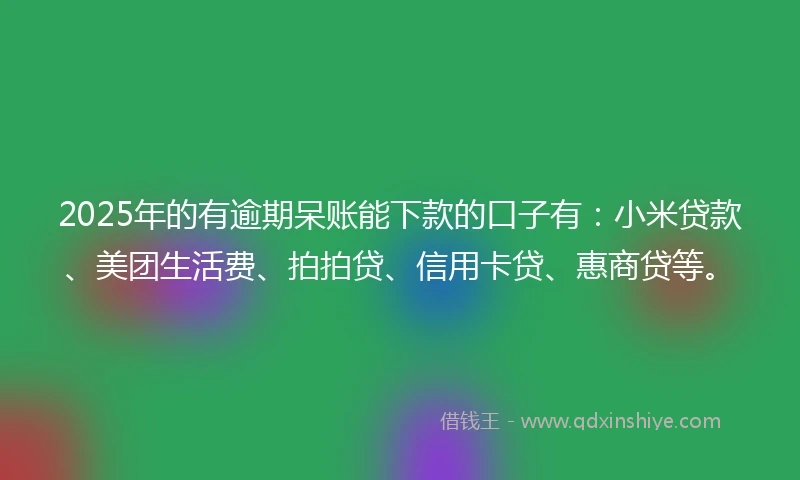2025年的有逾期呆账能下款的口子有：小米贷款、美团生活费、拍拍贷、信用卡贷、惠商贷等。