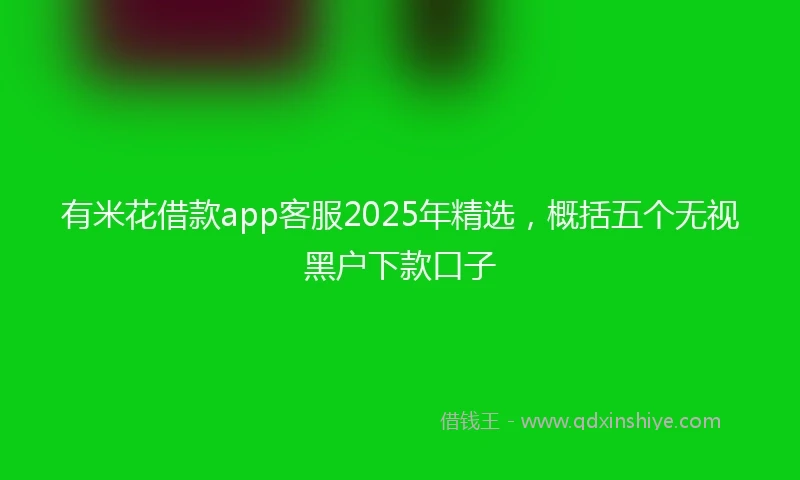 有米花借款app客服2025年精选，概括五个无视黑户下款口子