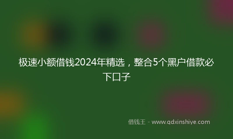 极速小额借钱2024年精选，整合5个黑户借款必下口子
