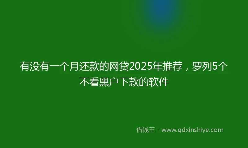 有没有一个月还款的网贷2025年推荐，罗列5个不看黑户下款的软件