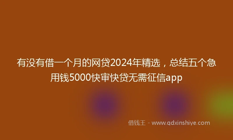 有没有借一个月的网贷2024年精选，总结五个急用钱5000快审快贷无需征信app