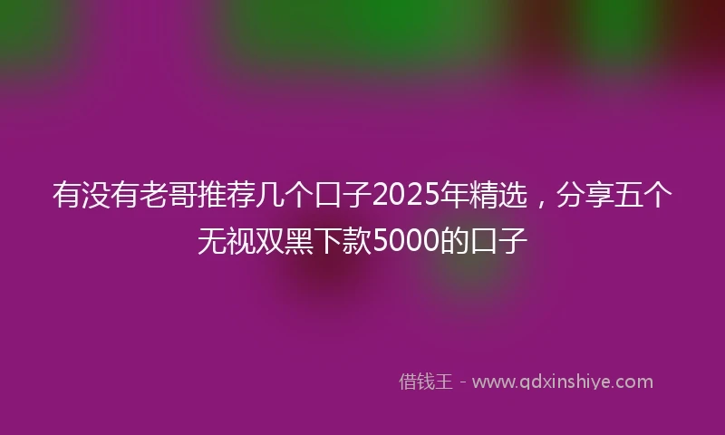 有没有老哥推荐几个口子2025年精选，分享五个无视双黑下款5000的口子