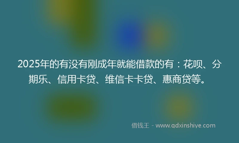 2025年的有没有刚成年就能借款的有：花呗、分期乐、信用卡贷、维信卡卡贷、惠商贷等。