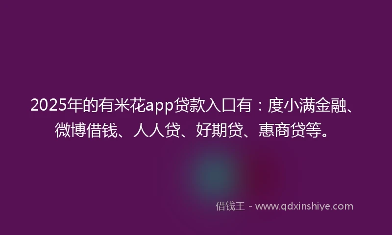 2025年的有米花app贷款入口有：度小满金融、微博借钱、人人贷、好期贷、惠商贷等。