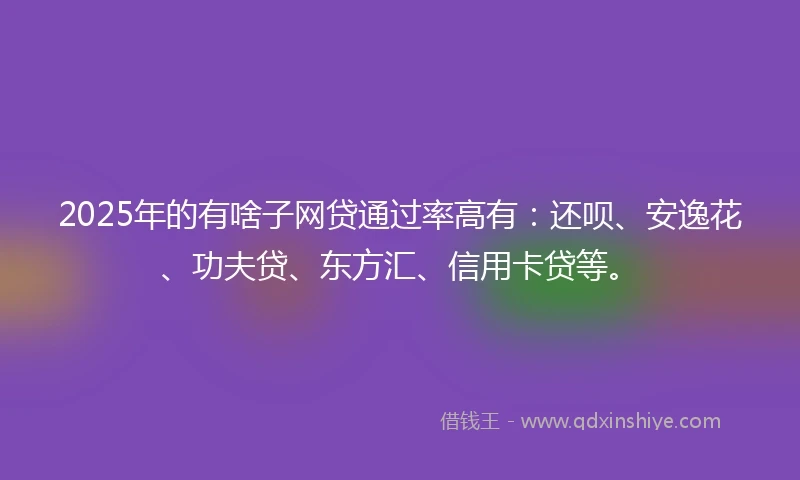 2025年的有啥子网贷通过率高有：还呗、安逸花、功夫贷、东方汇、信用卡贷等。