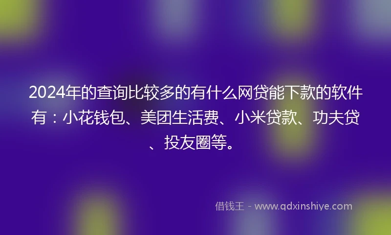2024年的查询比较多的有什么网贷能下款的软件有：小花钱包、美团生活费、小米贷款、功夫贷、投友圈等。