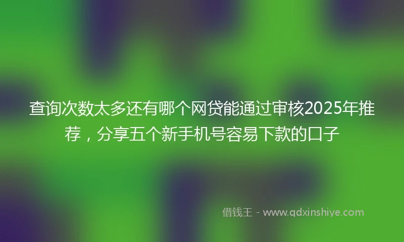 查询次数太多还有哪个网贷能通过审核2025年推荐，分享五个新手机号容易下款的口子
