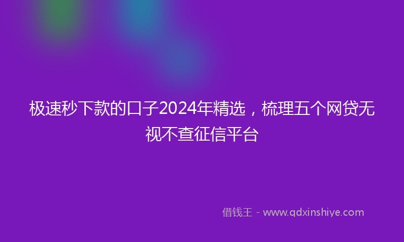 极速秒下款的口子2024年精选，梳理五个网贷无视不查征信平台