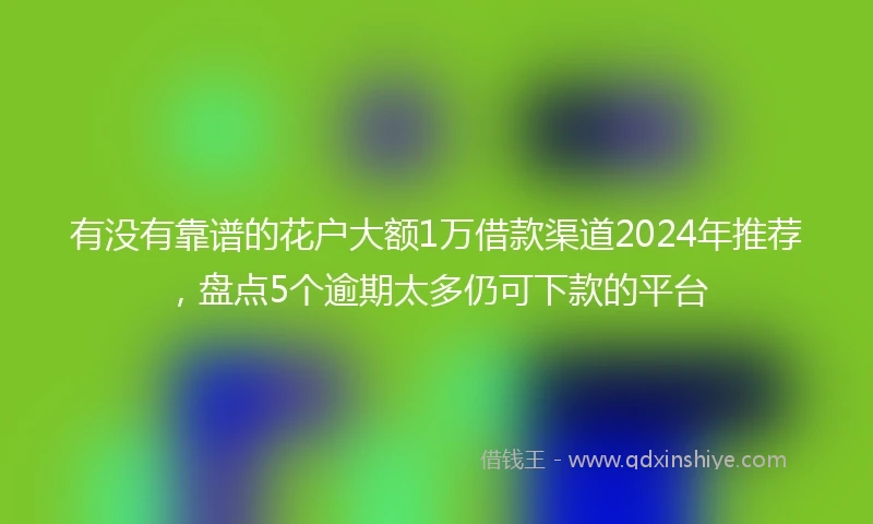 有没有靠谱的花户大额1万借款渠道2024年推荐，盘点5个逾期太多仍可下款的平台