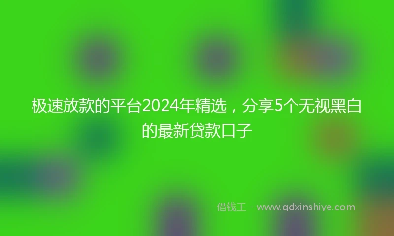 极速放款的平台2024年精选，分享5个无视黑白的最新贷款口子