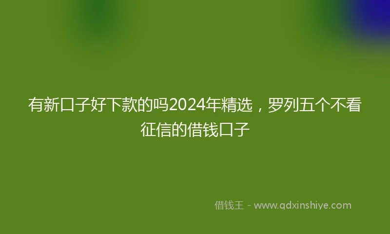 有新口子好下款的吗2024年精选，罗列五个不看征信的借钱口子