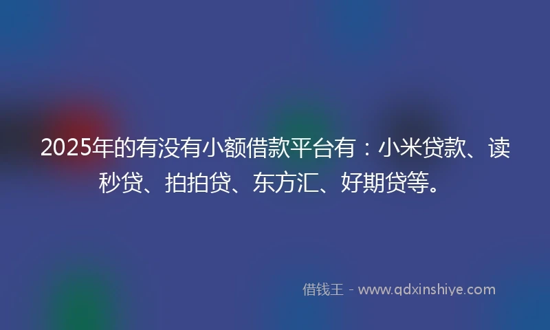 2025年的有没有小额借款平台有：小米贷款、读秒贷、拍拍贷、东方汇、好期贷等。