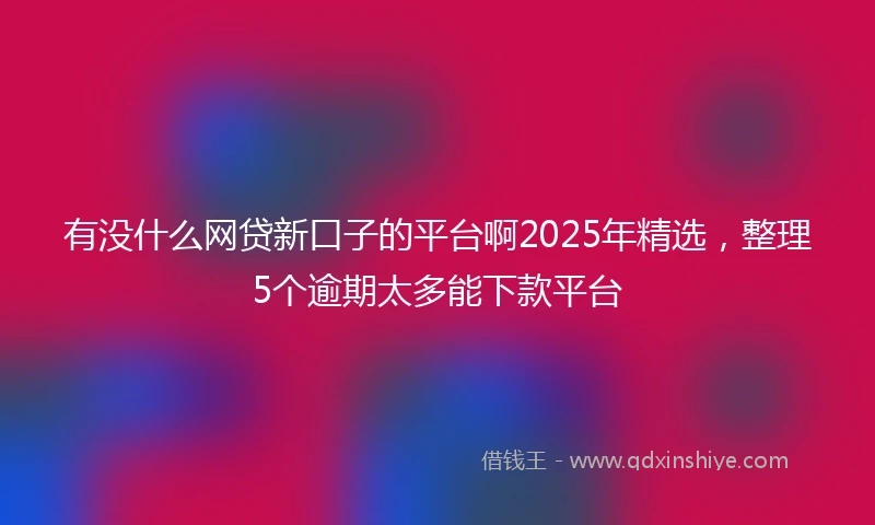有没什么网贷新口子的平台啊2025年精选，整理5个逾期太多能下款平台