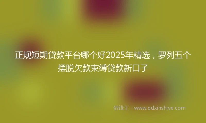 正规短期贷款平台哪个好2025年精选，罗列五个摆脱欠款束缚贷款新口子