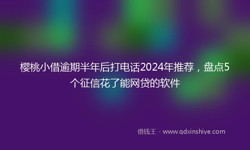 樱桃小借逾期半年后打电话2024年推荐，盘点5个征信花了能网贷的软件